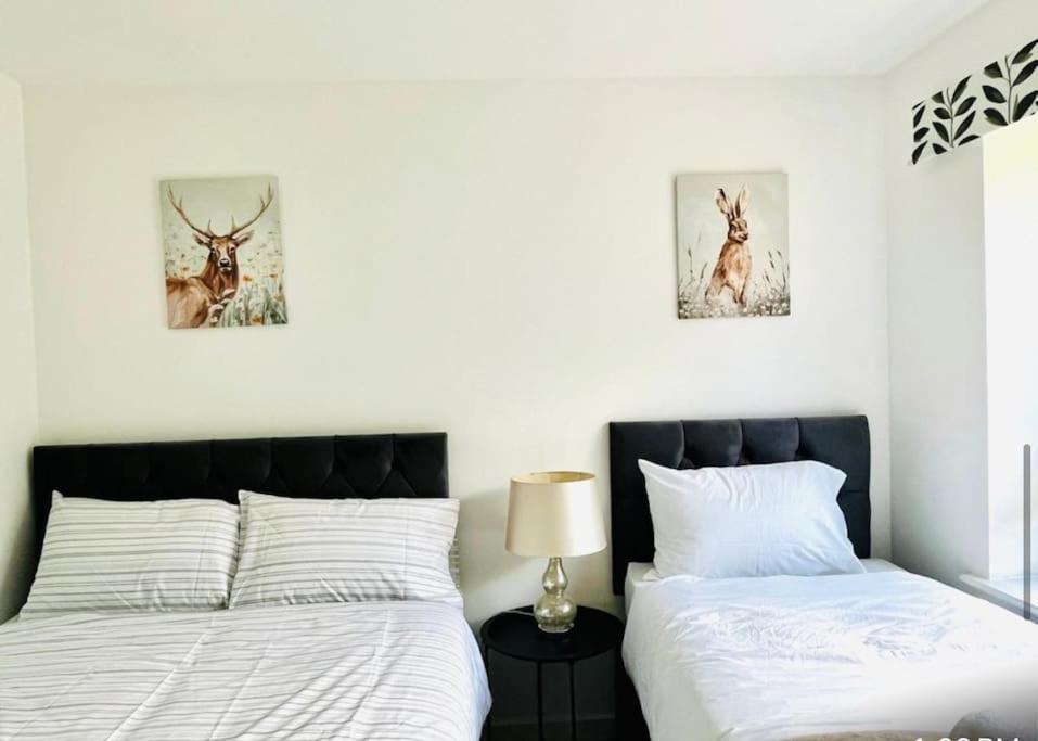 Ashford Retreat - Luxury Home With Double Parking 外观 照片